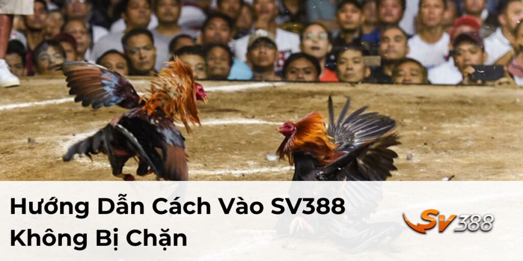 Hướng Dẫn Cách Vào SV388 Không Bị Chặn