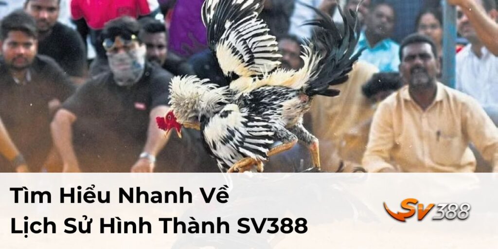 Tìm Hiểu Về Lịch Sử Hình Thành SV388