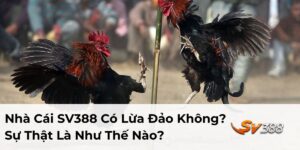 Nhà Cái SV388 Có Lừa Đảo Không? Sự Thật Là Như Thế Nào?